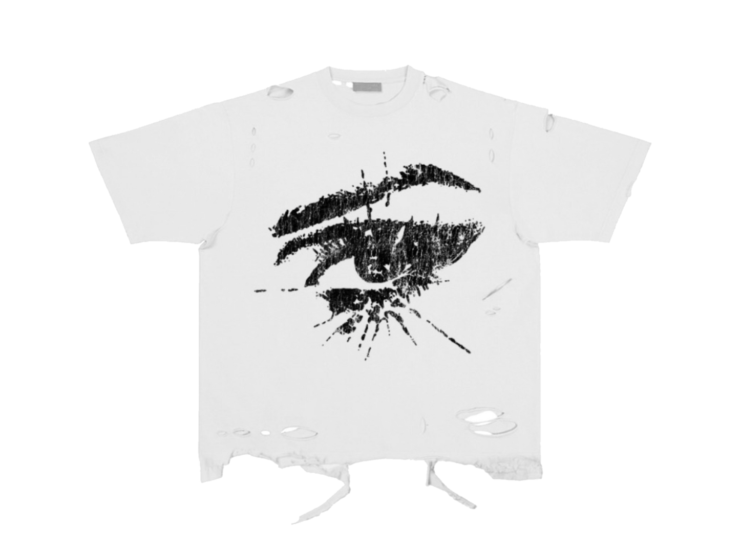 THE VISIONARY