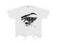 THE VISIONARY